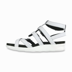 SAS Aria - Gladiator Sandal