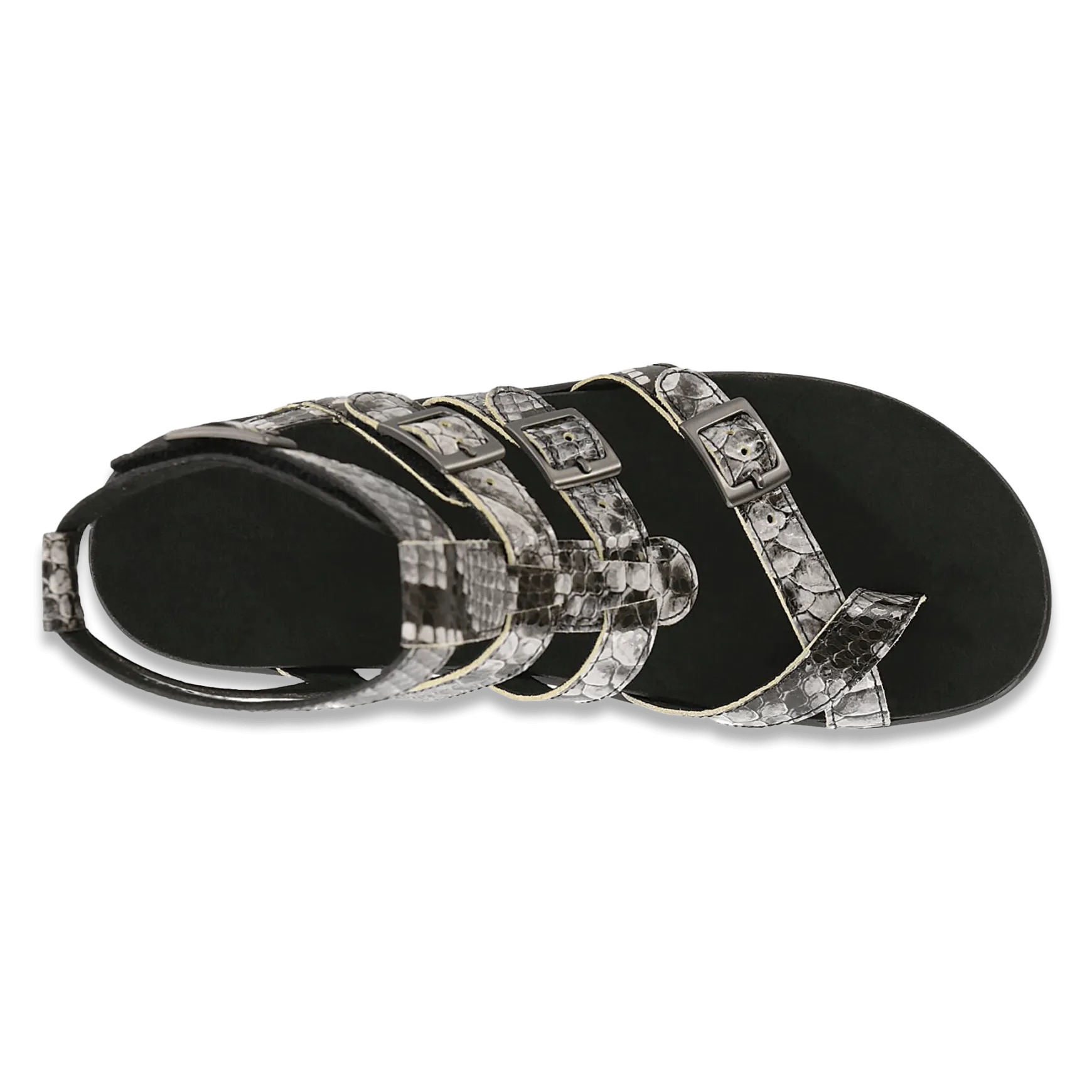 SAS Aria - Gladiator Sandal